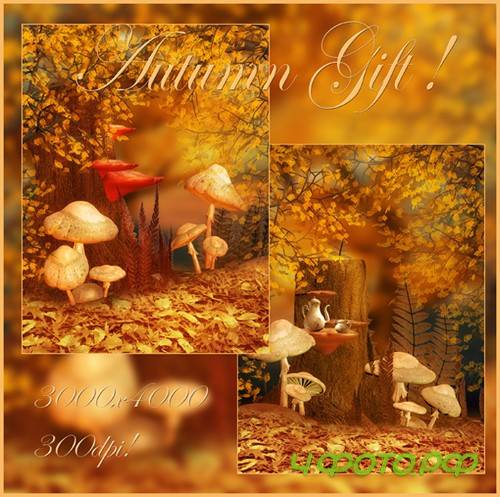 Autumn Gift Backgrounds Autumn Gift Backgrounds