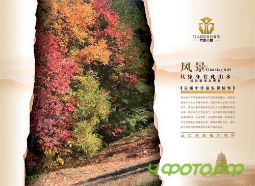 Taste of heritage property state PSD template