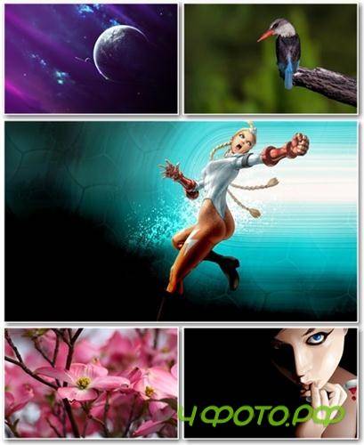 Best HD Wallpapers Pack �432
