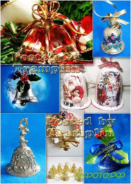 �������������� ������������  - Christmas campanulas