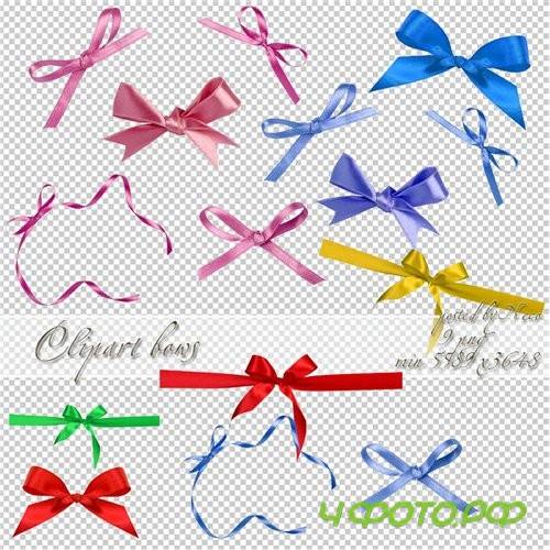 Cliparts bow png - ������� ����� png