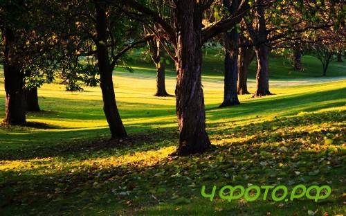 Качественные обои с прекрасной природой (2011) Качественные обои с прекрасной природой (2011)