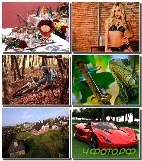 �������� ������������� ���� ��� �������� 2012 (����� 1)