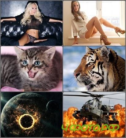 ��������� ����� ��� �������� ����� #100