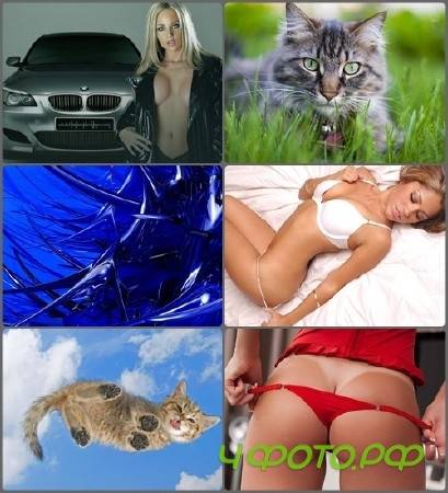 ��������� ����� ��� �������� ����� #115