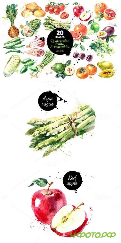Watercolor Fruits & Vegetables Set - 620929
