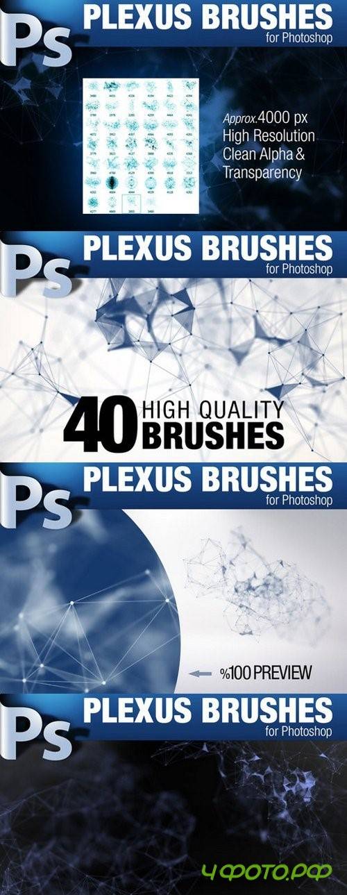 CG Plexus Brushes for Photoshop - 859897