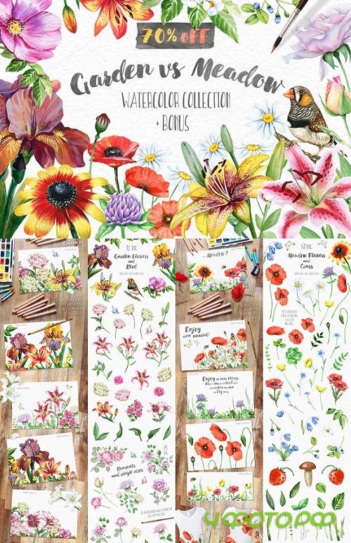 Floral set. Over 115 PNG - 770282
