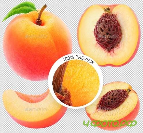 Collection of Isolated Peaches - 15998525