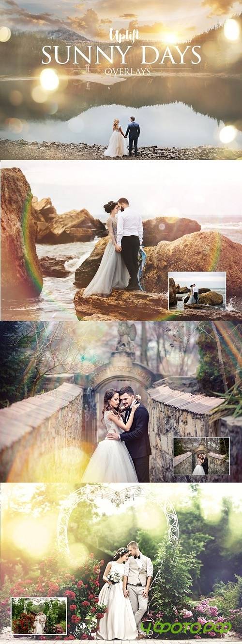 Sunny Days Sun Flare Overlays - 1120457