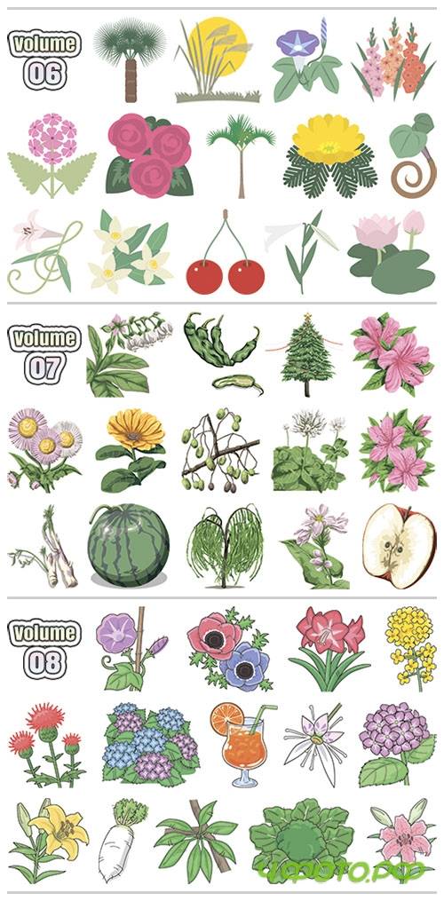 KyowaSoft CutPRO Vol.06, 07, 08 - Lovely Touch Illustration of Plants, Vegetables & Fruits KyowaSoft CutPRO Vol.06, 07, 08 - Lovely Touch Illustration of Plants, Vegetables & Fruits