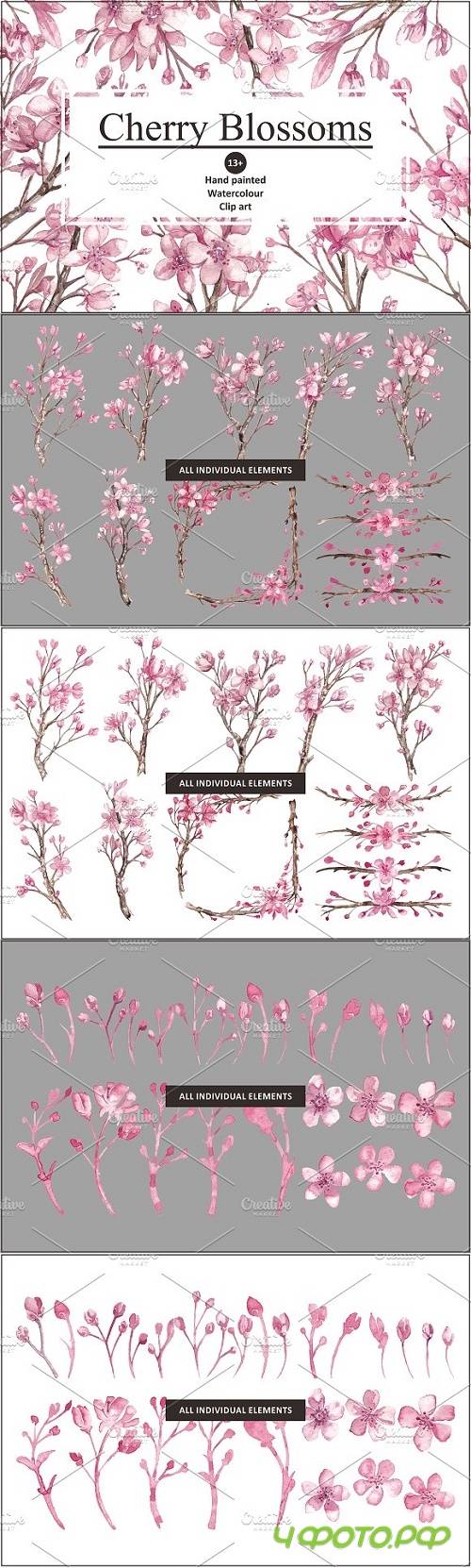 Cherry Blossom Watercolour clipart - 1143306