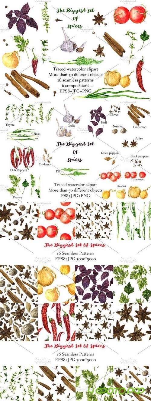 The biggest watercolor set of spices 686299