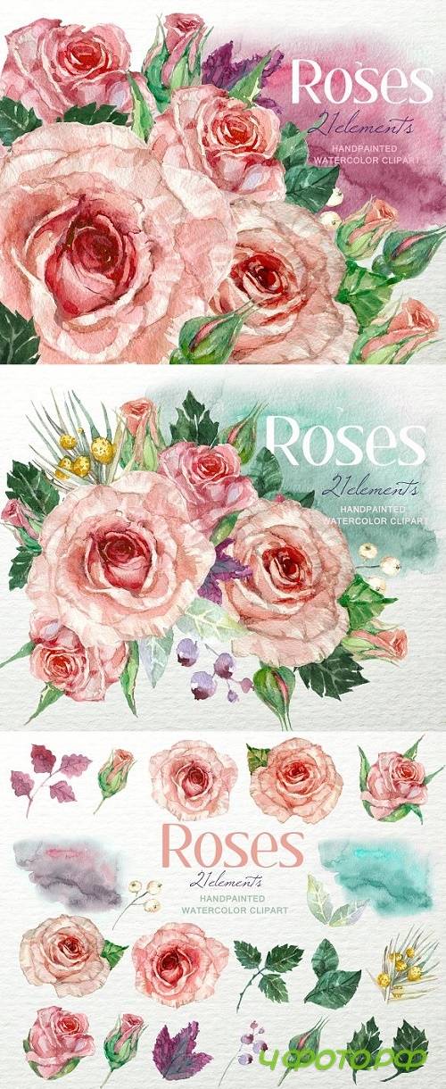 Shabby Roses Watercolor Clipart F-39 964259