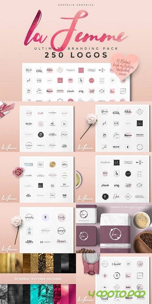 250 Feminine Logo Branding Pack - 1168648
