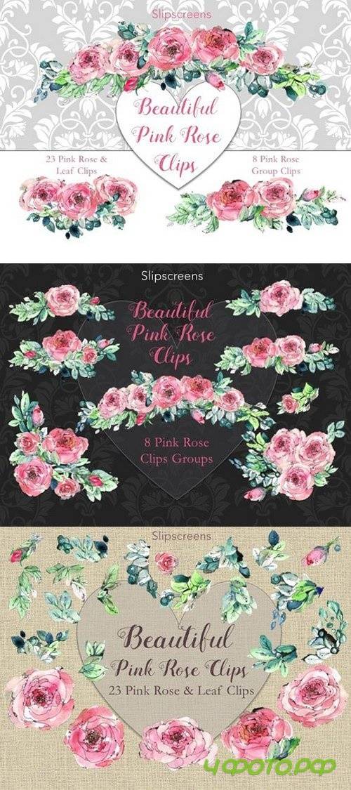 Beautiful Pink Rose Clips 1146894
