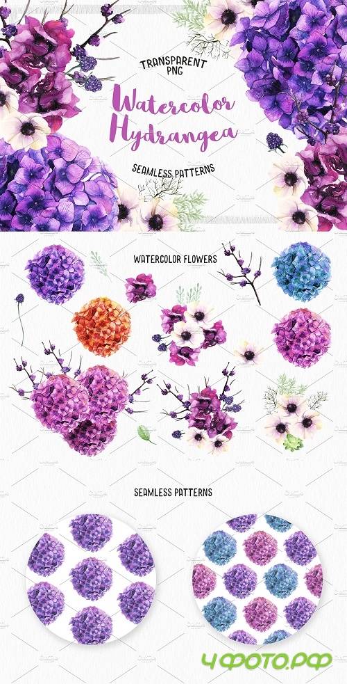 Watercolor Hydrangea - 1166592
