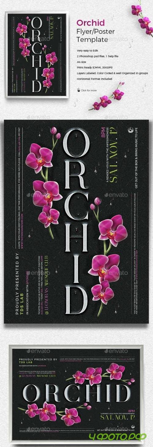 Orchid Flyer Template 19375664