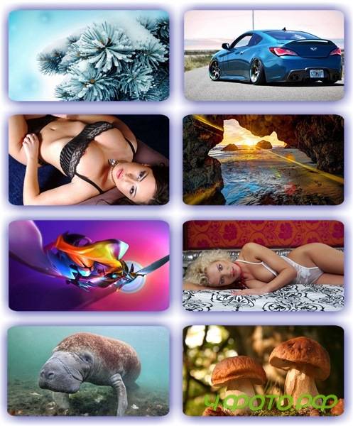 ������� ������������ HQ �����-991