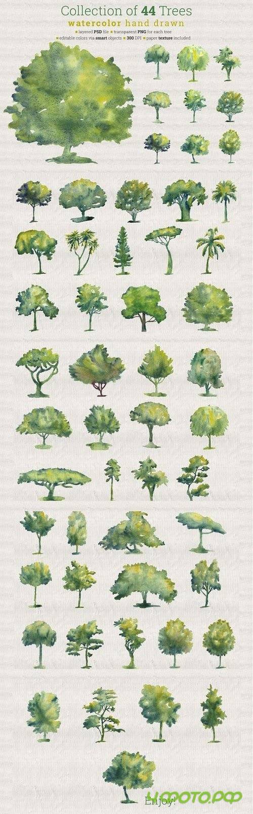 Collection of 44 Watercolor Trees 26427
