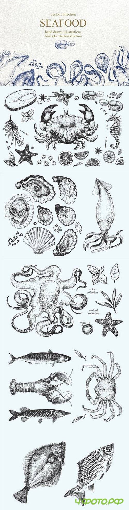 Vector seafood collection 1248667