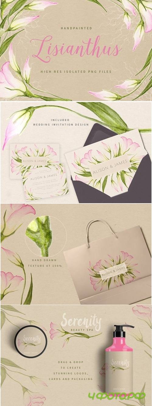 Lisianthus Flowers - 1053642