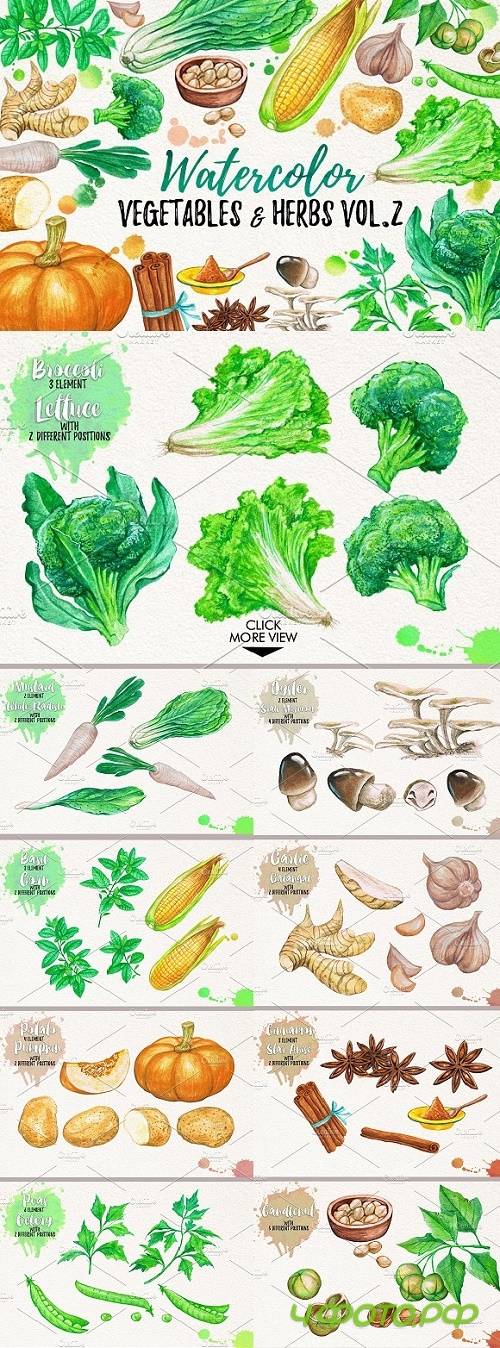 Watercolor Vegetables, Herbs, Green - 1110618