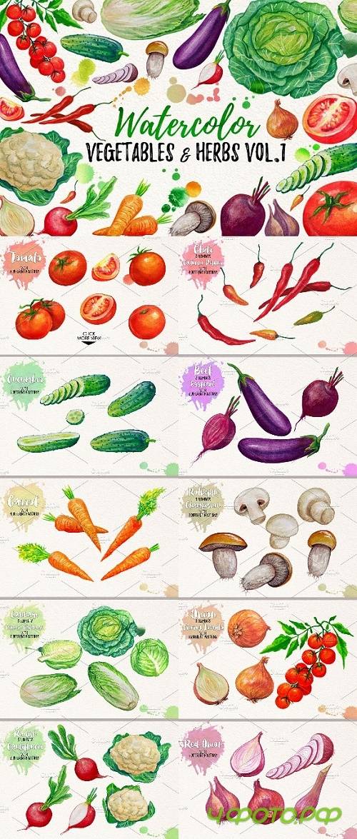 Watercolor Vegetables, Herbs - 1069506