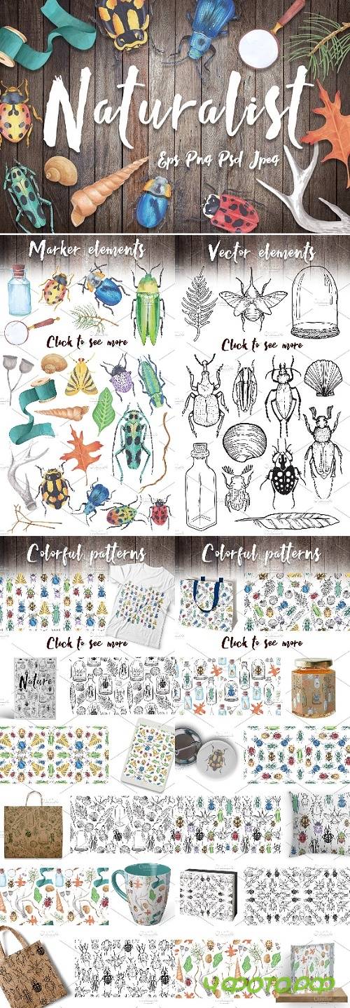 Naturalist - scientific design set 1272509