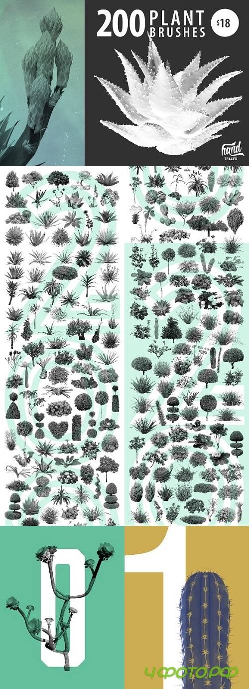 Plant Brushes v2 - 1297047 Plant Brushes v2 - 1297047