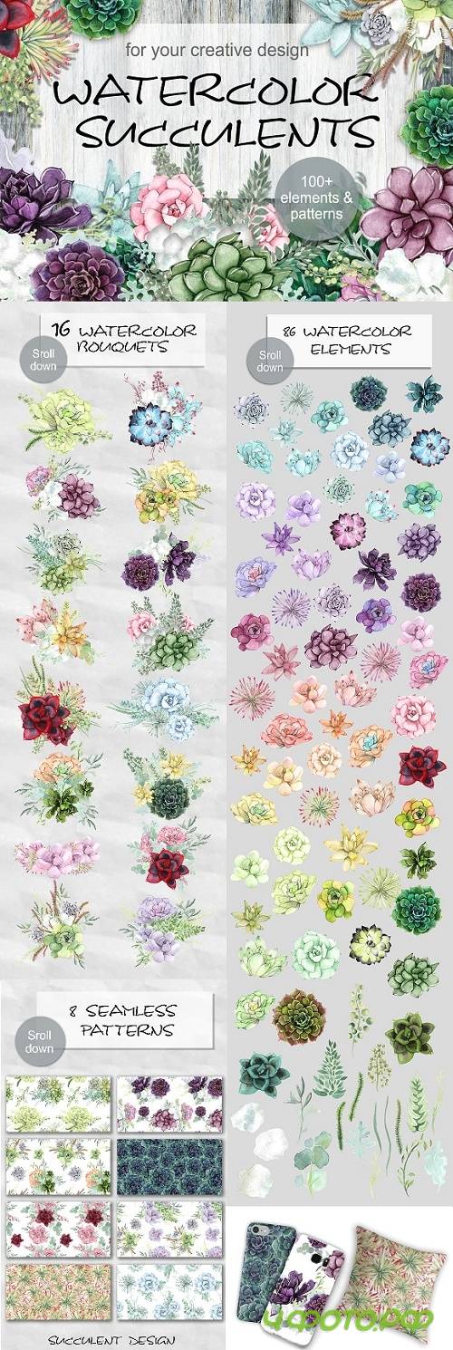 Watercolor Succulents 1289698