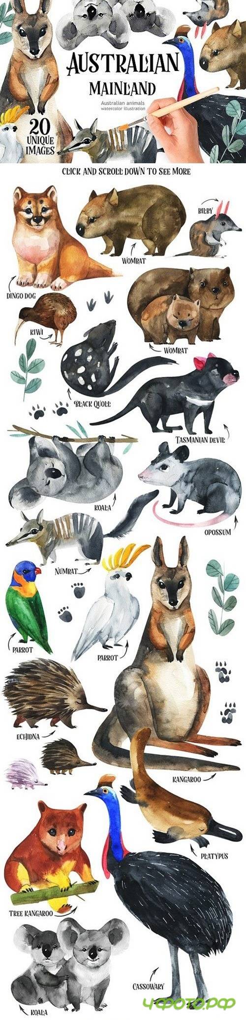 Australian Mainland-illustration set 1311841 