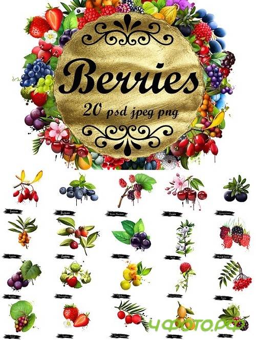 Berries Digital Art Collection 2 - 1297033 Berries Digital Art Collection 2 - 1297033
