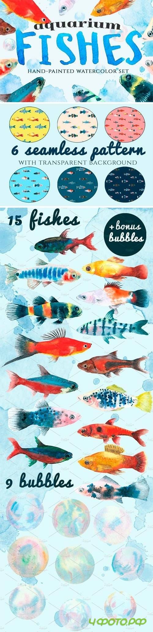 Aquarium Fishes - 1380758