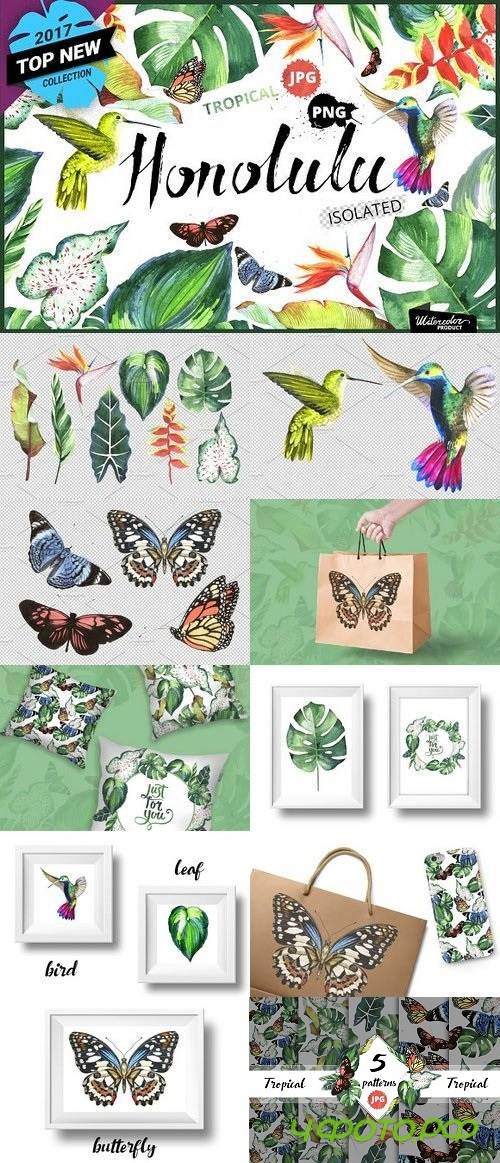 Honolulu: Tropical Mood 1151961
