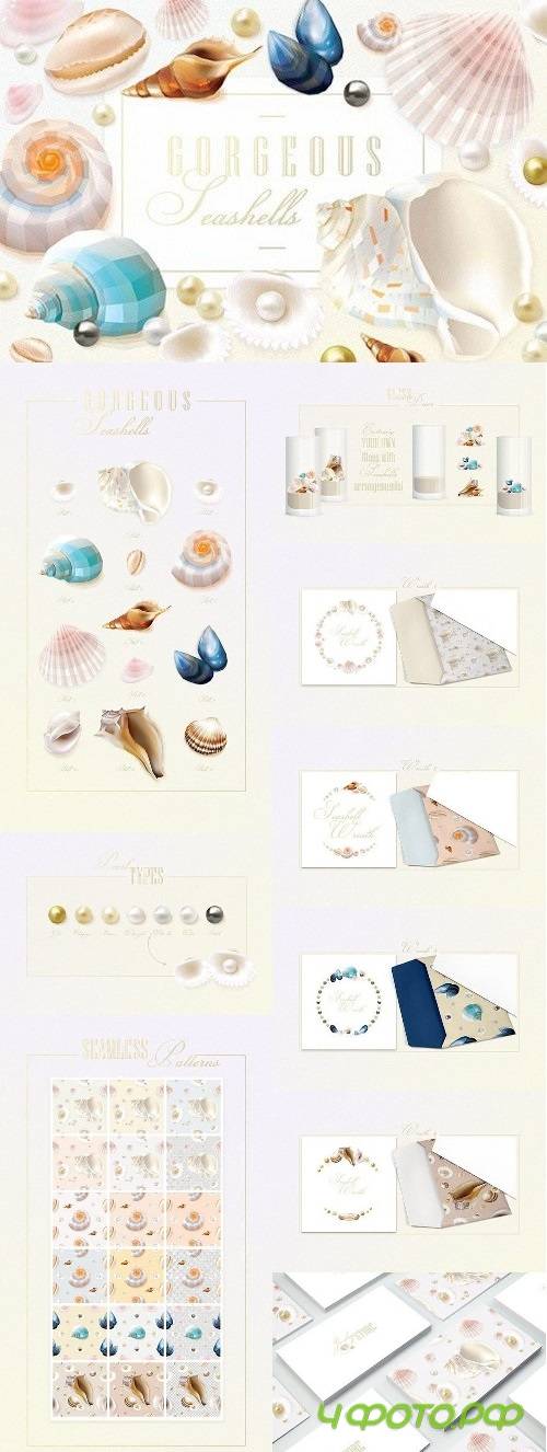 Gorgeous Seashells 715041