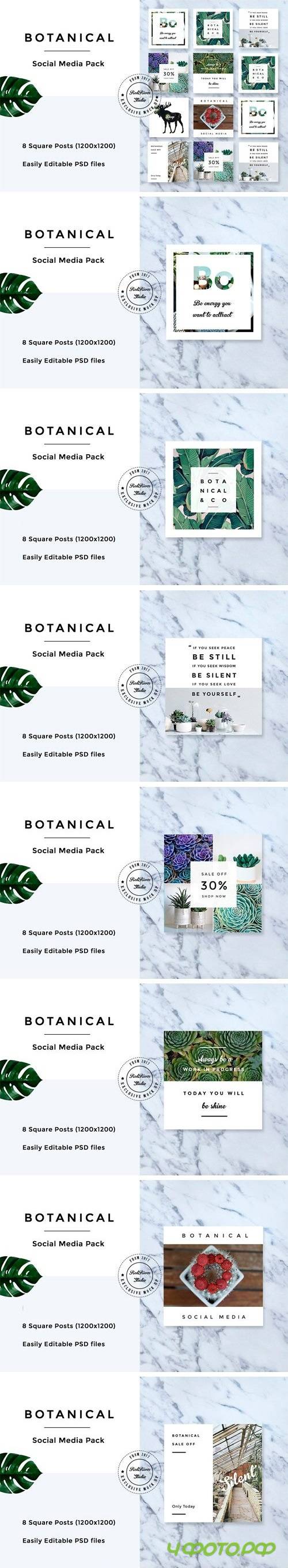 Botanical Social Media Pack - 1434746