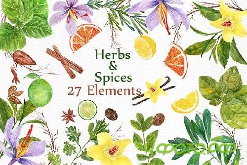 watercolor Herbs and spices clipart 1397650