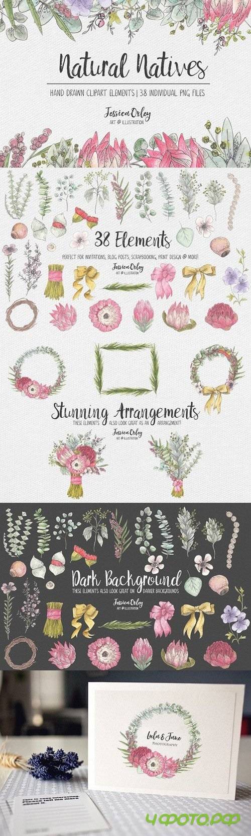 Natural Natives Watercolour Clipart 1420617