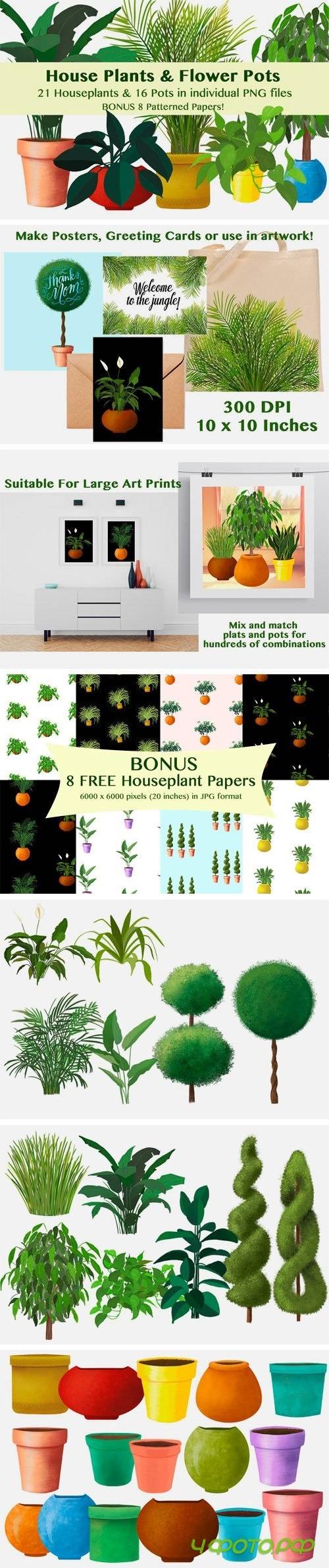 House Plants and Flower Pots + Bonus - 1435034