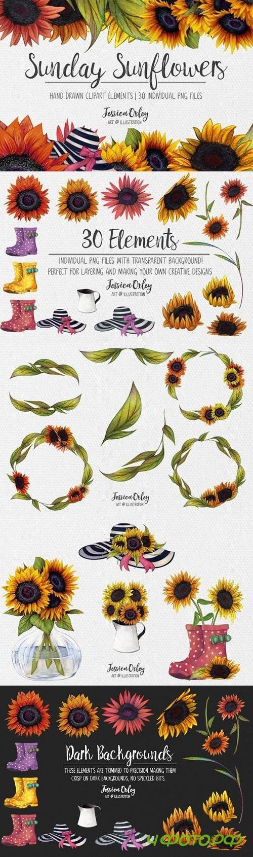 Sunday Sunflowers Hand Drawn Clipart 1448560