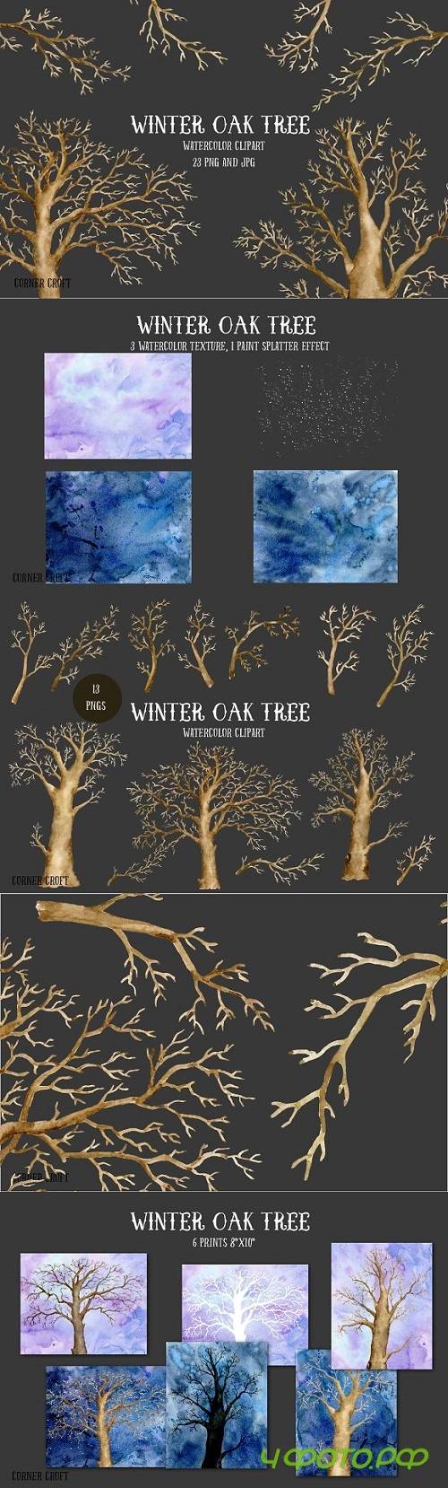 Watercolor Clipart Winter Oak Tree 1099021