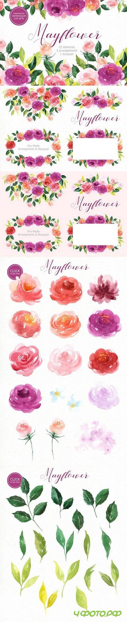 Mayflower Floral Watercolor clipart 1471777