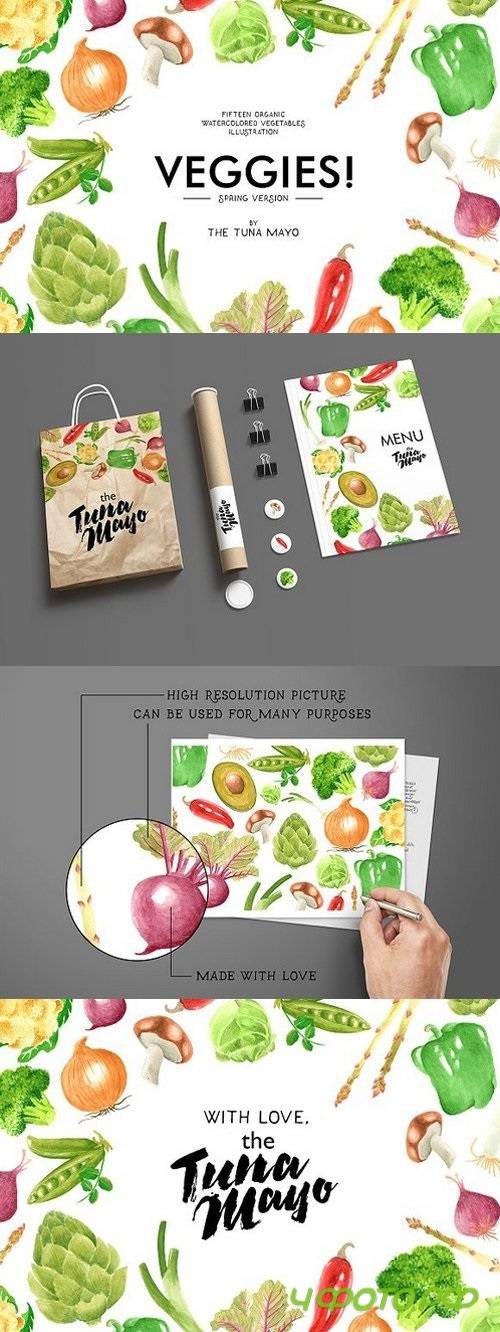 Vegetables Watercolor Illustration 1447946