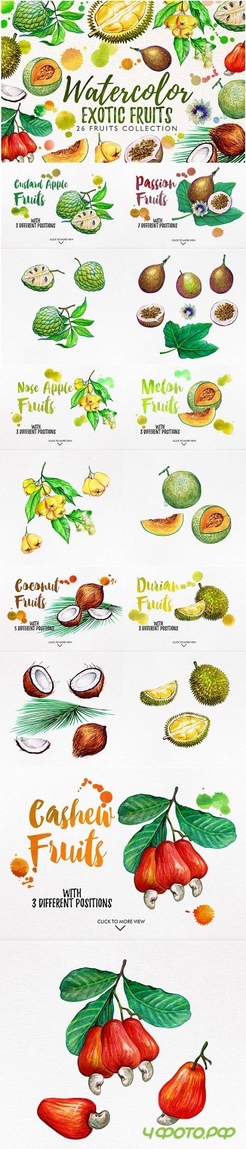 watercolor fruits vol. 6 1024981