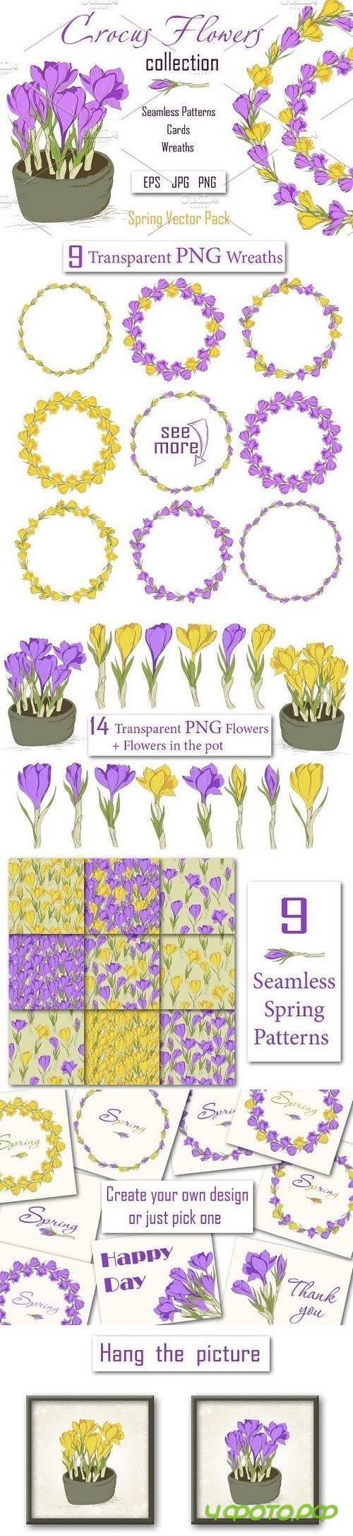 Crocus. Spring Flowers collection 597555