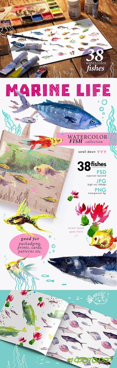 38 Watercolor Fishes - 1522781