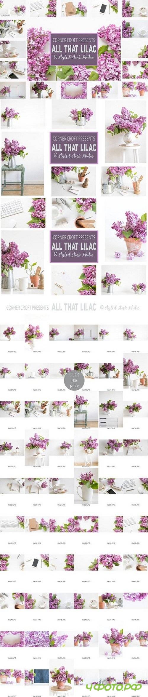 Lilac Styled Stock Photo Bundle 1515999