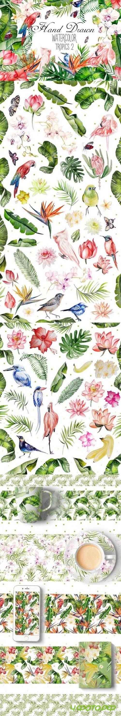 Hand Drawn watercolor TROPICS 2 1590067