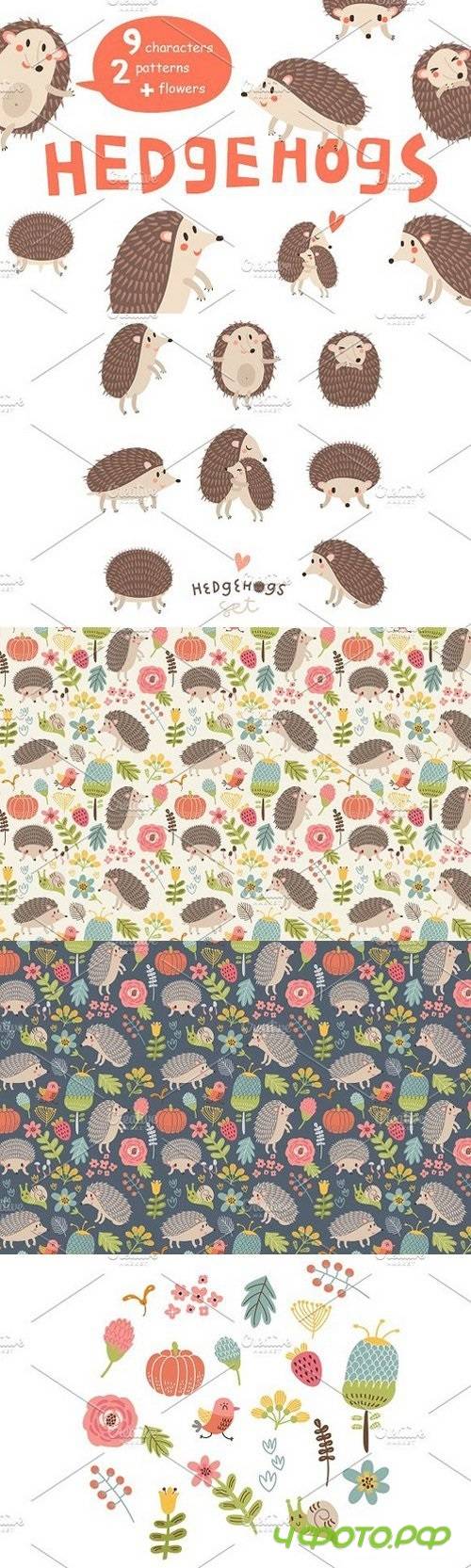 HEDGEHOGS. Cute vector set 1586639